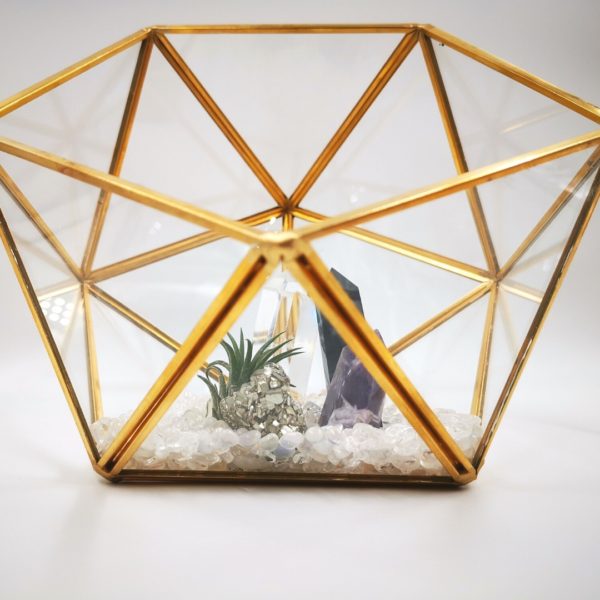 Bodyguard Crystal Terrarium - Image 3